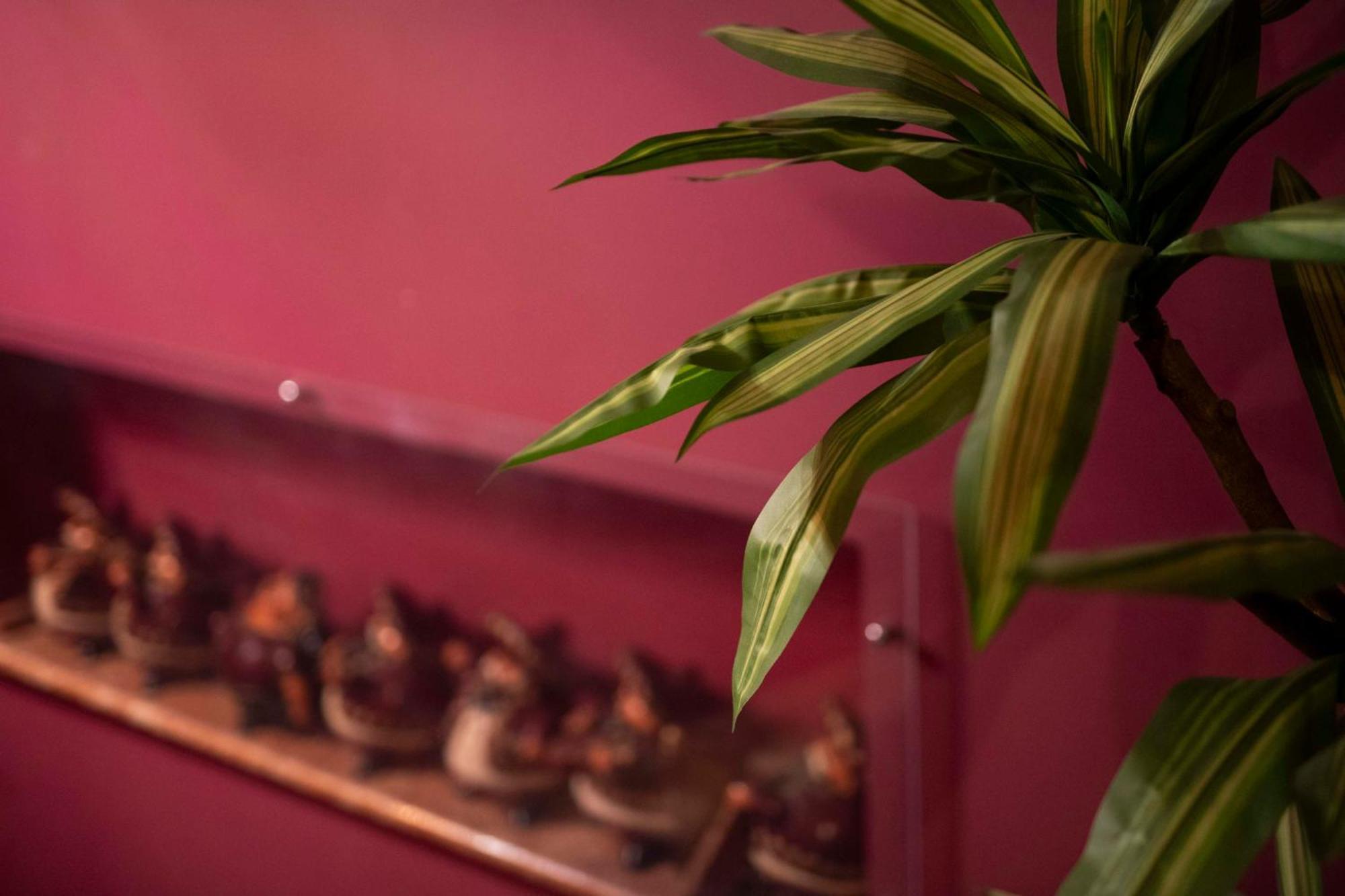 B&B Benny San Marco Evangelista Dış mekan fotoğraf